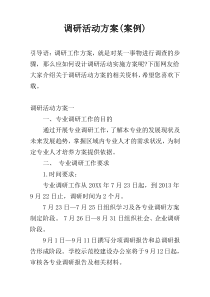 调研活动方案(案例)