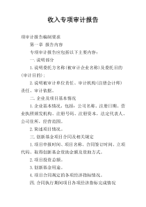 收入专项审计报告