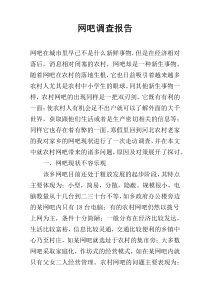网吧调查报告