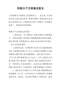 积极分子支部鉴定意见