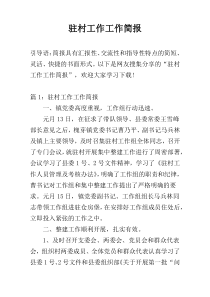 驻村工作工作简报