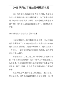 2023顶岗实习总结范例最新5篇