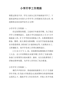 小学开学工作简报