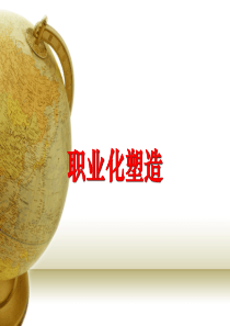 职业化塑造0930