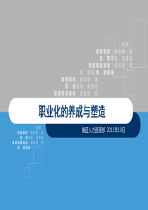 职业化的养成与塑造