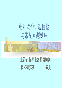 蔡昊--电站锅炉检验人员上课讲义