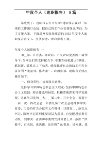 年度个人（述职报告） 5篇