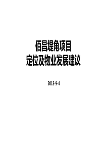 堤角项目定位及物业发展建议XXXX0909