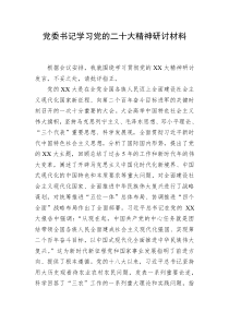 党委书记学习党的二十大精神研讨材料 (132)