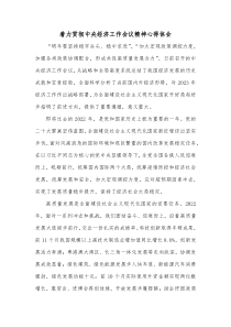 着力贯彻中央经济工作会议精神心得体会