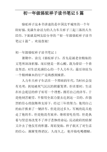 初一年级骆驼祥子读书笔记5篇
