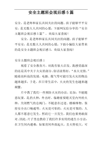 安全主题班会观后感5篇