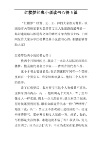 红楼梦经典小说读书心得5篇
