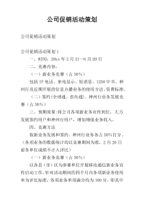 公司促销活动策划