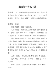 遇见初一作文5篇