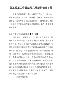 员工转正工作总结范文最新版精选4篇