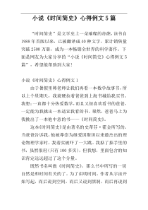 小说《时间简史》心得例文5篇