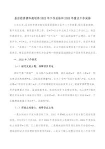 县自然资源和规划局2022年工作总结和2023年重点工作安排