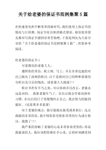 关于给老婆的保证书范例集聚5篇