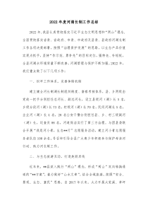 2022年度河湖长制工作总结