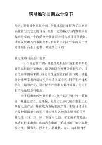 镁电池项目商业计划书