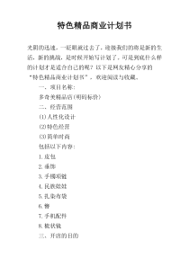 特色精品商业计划书