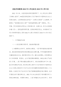 县医疗保障局2022年工作总结及2023年工作计划
