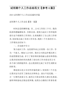 试用期个人工作总结范文【参考4篇】