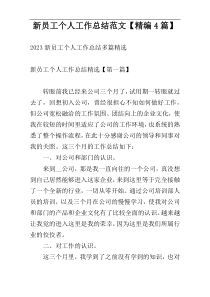 新员工个人工作总结范文【精编4篇】