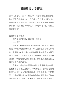 我的曾经小学作文