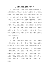 乡村振兴战略实施情况工作总结
