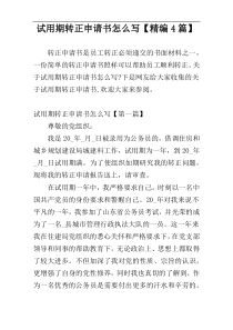 试用期转正申请书怎么写【精编4篇】
