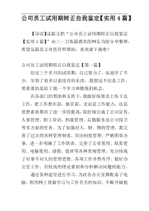 公司员工试用期转正自我鉴定【实用4篇】