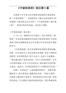 《守望相思树》观后感5篇