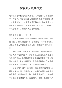 留住那片风景作文