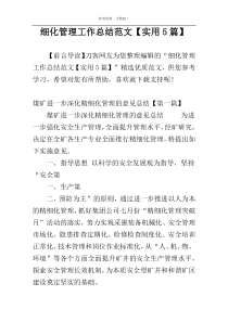 细化管理工作总结范文【实用5篇】