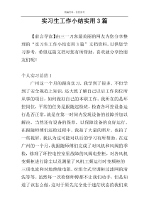 实习生工作小结实用3篇