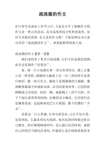 流浪猫的作文