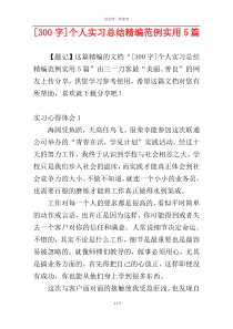 [300字]个人实习总结精编范例实用5篇