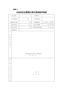 水电站安全管理分类年度检验申报表-附录3：