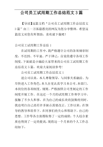 公司员工试用期工作总结范文3篇