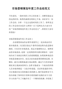 市场营销策划年度工作总结范文