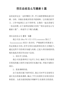 项目总结怎么写最新5篇