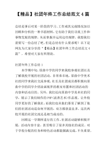 【精品】社团年终工作总结范文4篇
