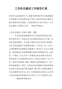 工作队伍建设工作报告汇报