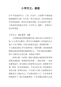 小学作文：感恩