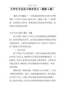 大学生专业实习报告范文（最新4篇）