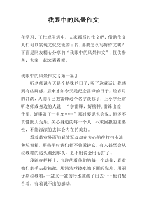 我眼中的风景作文