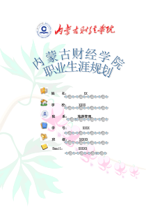 XX大学生职业规划
