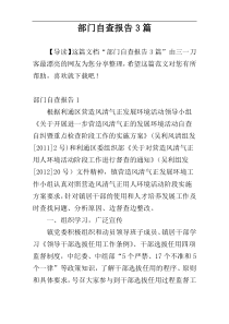 部门自查报告3篇